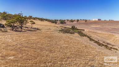 Farm For Sale - WA - Northam - 6401 - 20 Jacamar Drive, Northam – 11.04 Acres of Opportunity!  (Image 2)