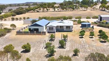 Farm For Sale - WA - Wongan Hills - 6603 - Love The Space - Live The Location.  (Image 2)