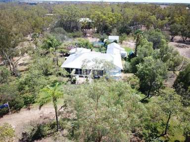 Farm For Sale - NSW - Bellata - 2397 - "Wilgaroi", 207 Wilgaroi Road Bellata  (Image 2)