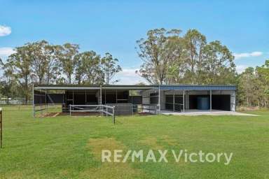 Farm For Sale - QLD - Wamuran - 4512 - Where Family, Horses, and Luxury Gallop Together  (Image 2)