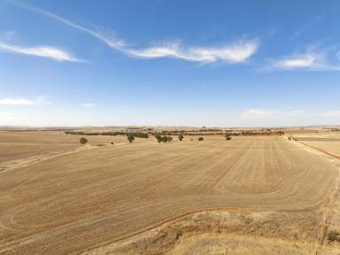 Farm For Sale - SA - Mount Bryan - 5418 - Mid North Mixed Farming Land for Lease  (Image 2)