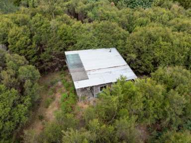 Farm For Sale - VIC - Gellibrand Lower - 3237 - Bush Retreat Near the Great Ocean Road...  (Image 2)