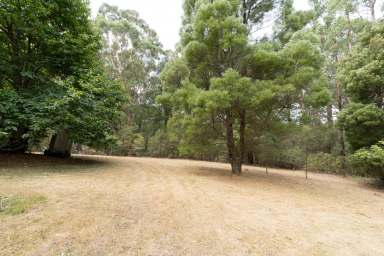 Farm For Sale - VIC - Gellibrand Lower - 3237 - Bush Retreat Near the Great Ocean Road...  (Image 2)