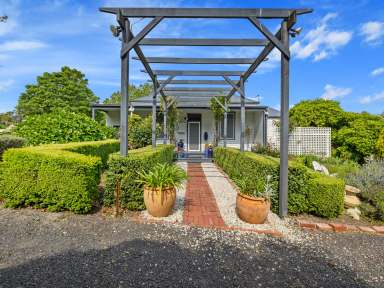 Farm For Sale - VIC - Mirboo North - 3871 - Genuine Classic  (Image 2)