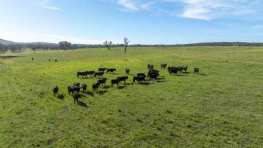 Farm Auction - NSW - Torryburn - 2358 - "Gwydir Park" - A Genuine New England Value Proposition  (Image 2)