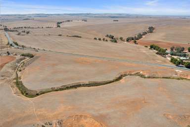 Farm For Sale - SA - Brinkworth - 5464 - Broadacre Cropping / Grazing in the Clare Valley  (Image 2)