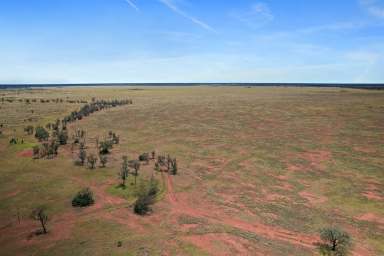 Farm Auction - QLD - St George - 4487 - Versatile Grazing Property – First Time Offered in 44 Years  (Image 2)