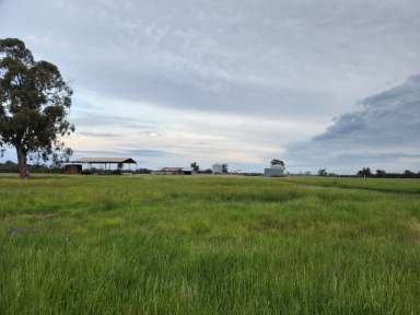 Farm For Sale - NSW - Parkes - 2870 - Very Affordable Cropping Country just 30 min to Parkes  (Image 2)