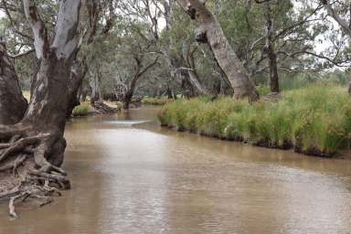 Farm For Sale - NSW - Parkes - 2870 - Very Affordable Cropping Country just 30 min to Parkes  (Image 2)