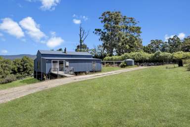 Farm For Sale - TAS - York Town - 7270 - Yorktown Land of Potential & Charm  (Image 2)