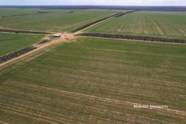 Farm For Sale - WA - West Binnu - 6532 - Offers to Lease  (Image 2)