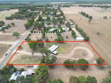 Farm For Sale - VIC - Cobram East - 3644 - Charming Mudbrick Home on 2.7 Acres – The Perfect Lifestyle Retreat!  (Image 2)