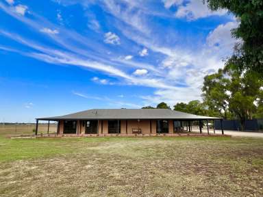 Farm For Sale - VIC - Cobram East - 3644 - Charming Mudbrick Home on 2.7 Acres – The Perfect Lifestyle Retreat!  (Image 2)