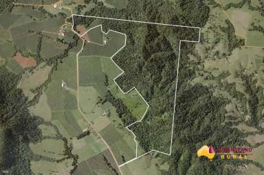 Farm For Sale - QLD - Utchee Creek - 4871 - Affordable Piece of Paradise  (Image 2)