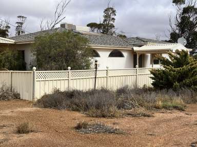 Farm For Sale - WA - Southern Cross - 6426 - 'Very good value here, open, quality country with improvements'  (Image 2)