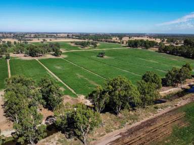 Farm For Sale - VIC - Gannawarra - 3568 - IRRIGATED CROPPING AND GRAZING OPPORTUNITY  (Image 2)