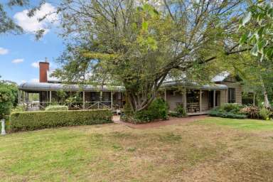 Farm For Sale - VIC - Gellibrand - 3239 - Stunning Property in the Otways  (Image 2)