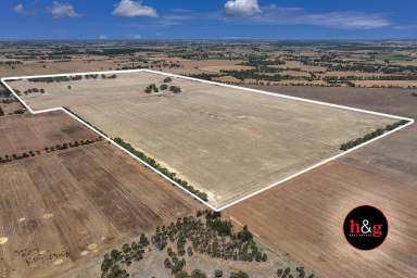 Farm For Sale - VIC - Nathalia - 3638 - Cropping Land Nathalia  (Image 2)