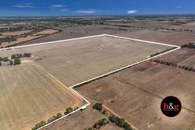 Farm For Sale - VIC - Nathalia - 3638 - Cropping Land Nathalia  (Image 2)