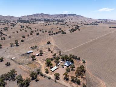 Farm For Sale - SA - Mount Bryan East - 5419 - Outstanding Large Scale Mixed Farming Property  (Image 2)