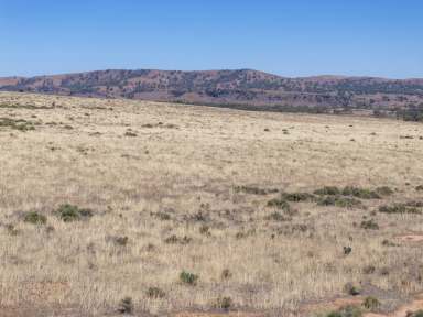 Farm For Sale - SA - Mount Bryan East - 5419 - Outstanding Large Scale Mixed Farming Property  (Image 2)