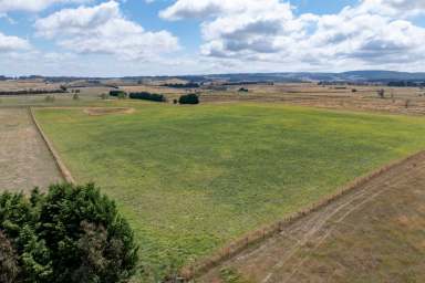 Farm Auction - NSW - Crookwell - 2583 - Glenerin Road Farm , Exciting country life opportunity !  (Image 2)