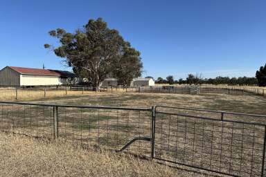 Farm For Sale - WA - Katanning - 6317 - A Rare Opportunity To Secure Prime Land So Close to Town  (Image 2)