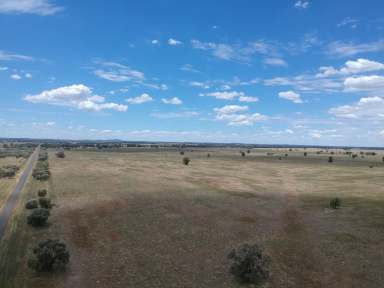 Farm For Sale - NSW - Burcher - 2671 - "GLENVIEW"  (Image 2)