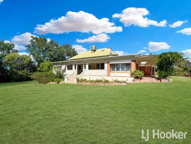 Farm For Sale - NSW - Inverell - 2360 - Rare opportunity to purchase a Brae Street river property  (Image 2)