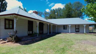 Farm Auction - NSW - Wandsworth - 2365 - Deceased Estate. Former Angus Stud property.  (Image 2)