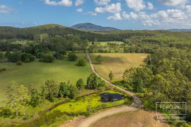 Farm For Sale - NSW - Bobs Creek - 2439 - 40 Acre /16.19 ha Rural Lifestyle Acreage – 25 Mins from Port Macquarie  (Image 2)