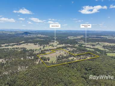 Farm For Sale - NSW - Glen Oak - 2320 - First Class Opportunity  (Image 2)