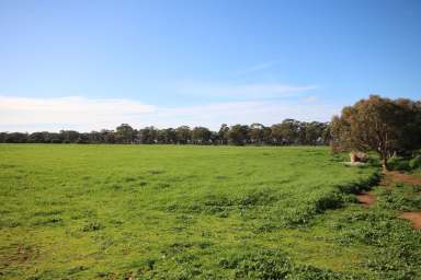 Farm For Sale - VIC - Elmore - 3558 - SMALL ACREAGE IN GREAT LOCATION  (Image 2)