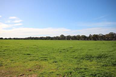 Farm For Sale - VIC - Elmore - 3558 - SMALL ACREAGE IN GREAT LOCATION  (Image 2)