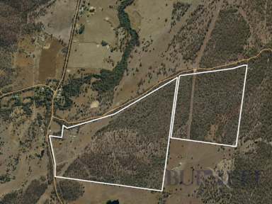 Farm For Sale - QLD - North Aramara - 4620 - Country Lifestyle Living  (Image 2)