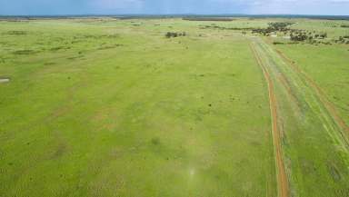 Farm Auction - QLD - Augathella - 4477 - Renowned Augathella Cattle Country  (Image 2)