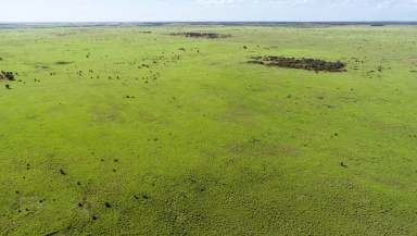 Farm Auction - QLD - Augathella - 4477 - Renowned Augathella Cattle Country  (Image 2)