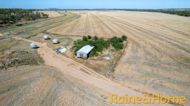 Farm Auction - NSW - Neilrex - 2831 - "Mooren" & "Socharach" - Productive Farming Country  (Image 2)