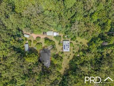 Farm For Sale - NSW - Kyogle - 2474 - Home and Studio on 13+ acres  (Image 2)