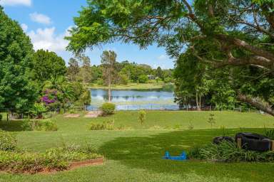 Farm For Sale - QLD - Witta - 4552 - QUIET CUL-DE-SAC, SUNSETS OVER THE LAKE  (Image 2)