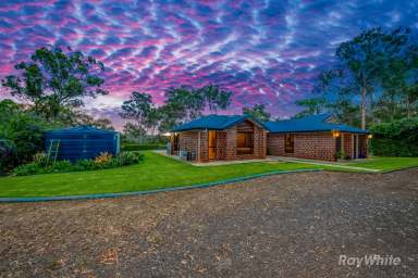 Farm For Sale - QLD - Bungadoo - 4671 - "Executive Country Living - Privacy, Space & Nature"  (Image 2)