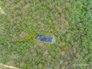 Farm For Sale - QLD - Horse Camp - 4671 - "31.97 Acres of Peace & Privacy - Your Country Escape Awaits"  (Image 2)