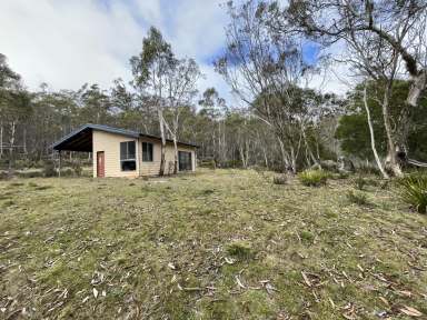 Farm For Sale - NSW - Nimmitabel - 2631 - Rural Retreat Amidst Nature's Splendour  (Image 2)