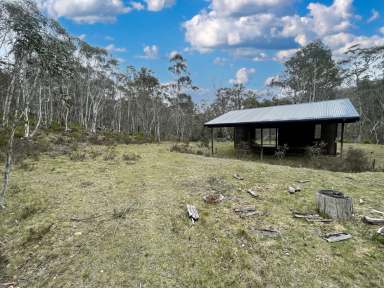 Farm For Sale - NSW - Nimmitabel - 2631 - Rural Retreat Amidst Nature's Splendour  (Image 2)