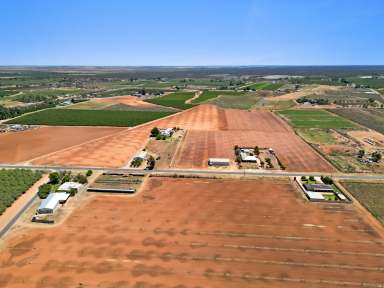 Farm Auction - VIC - Red Cliffs - 3496 - Ready and Waiting for you.  (Image 2)