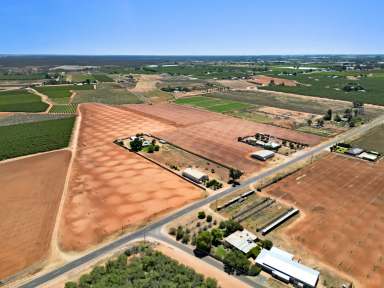 Farm Auction - VIC - Red Cliffs - 3496 - Ready and Waiting for you.  (Image 2)