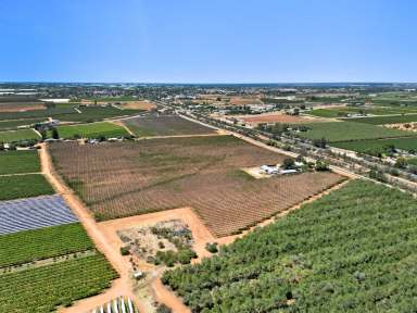 Farm Auction - VIC - Red Cliffs - 3496 - Make this your own.  (Image 2)