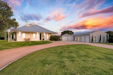 Farm Auction - VIC - Irymple - 3498 - Where Timeless Elegance Meets Modern Grandeur  (Image 2)