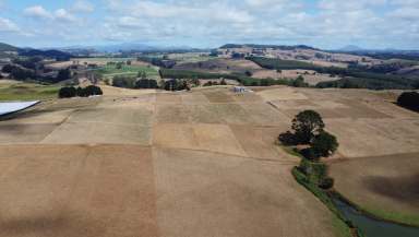 Farm For Sale - TAS - Sulphur Creek - 7316 - 430 Nine Mile Rd  (Image 2)