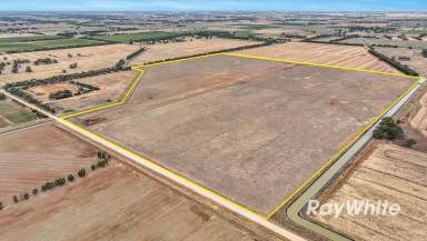 Farm For Sale - VIC - Lockington - 3563 - Cropping & Grazing Opportunity  (Image 2)